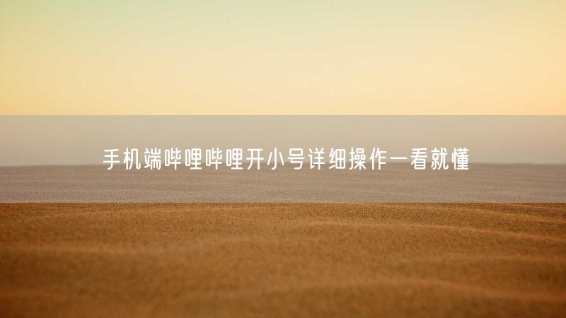 手机端哔哩哔哩开小号详细操作一看就懂