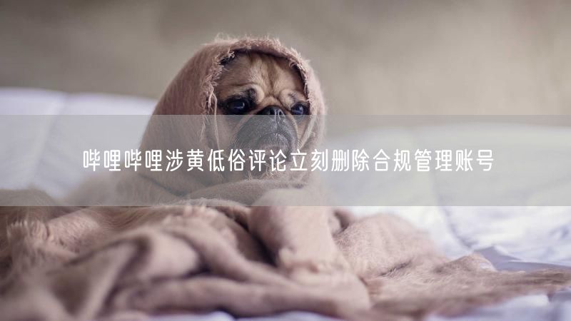 哔哩哔哩涉黄低俗评论立刻删除合规管理账号