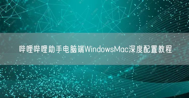 哔哩哔哩助手电脑端WindowsMac深度配置教程