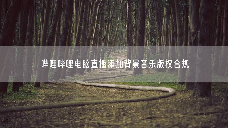 哔哩哔哩电脑直播添加背景音乐版权合规