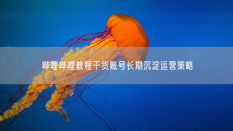 哔哩哔哩教程干货账号长期沉淀运营策略