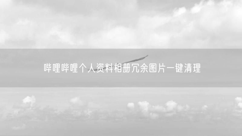 哔哩哔哩个人资料相册冗余图片一键清理