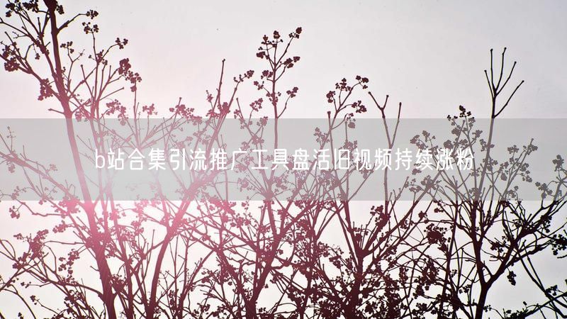 b站合集引流推广工具盘活旧视频持续涨粉