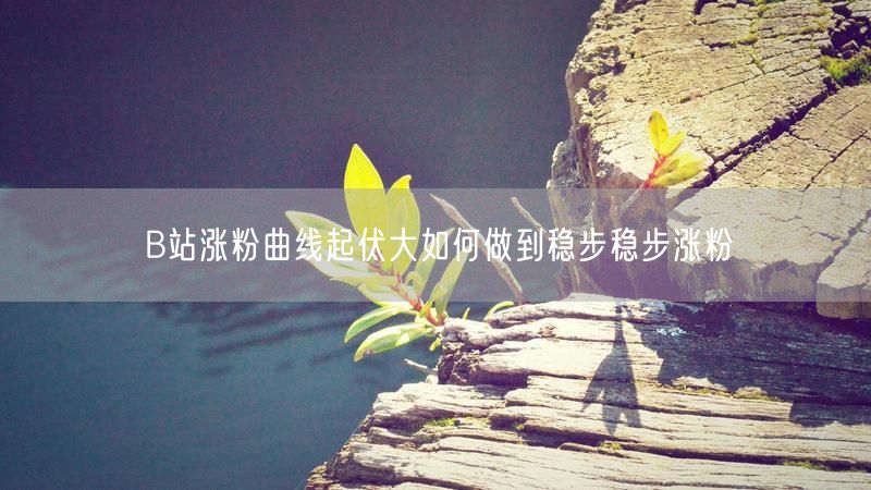 B站涨粉曲线起伏大如何做到稳步稳步涨粉