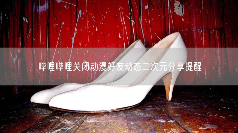 哔哩哔哩关闭动漫好友动态二次元分享提醒