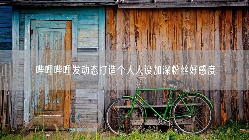 哔哩哔哩发动态打造个人人设加深粉丝好感度