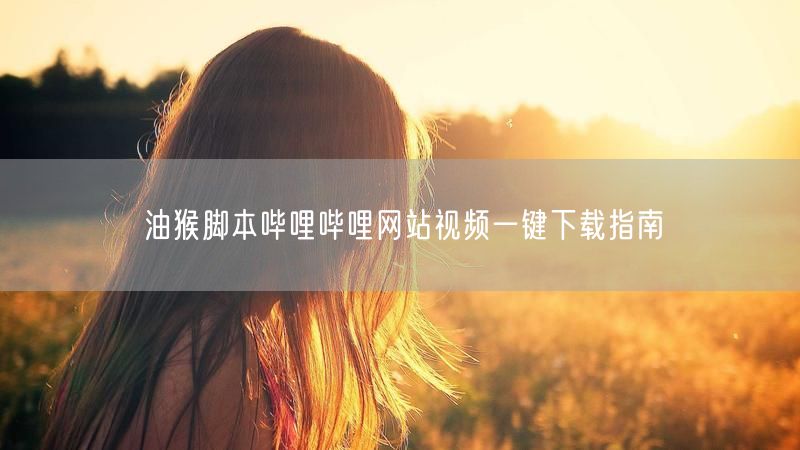 油猴脚本哔哩哔哩网站视频一键下载指南
