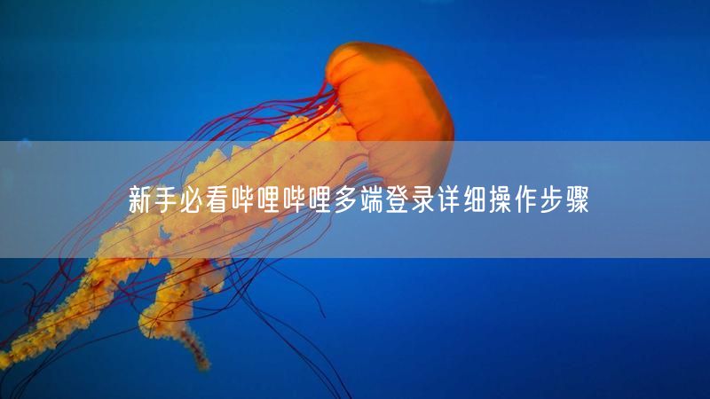 新手必看哔哩哔哩多端登录详细操作步骤