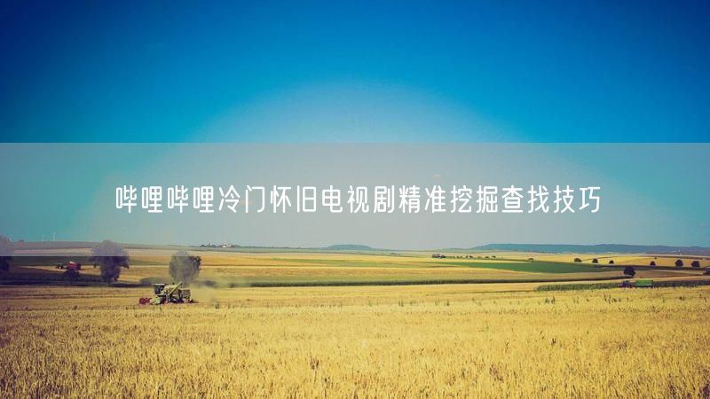 哔哩哔哩冷门怀旧电视剧精准挖掘查找技巧