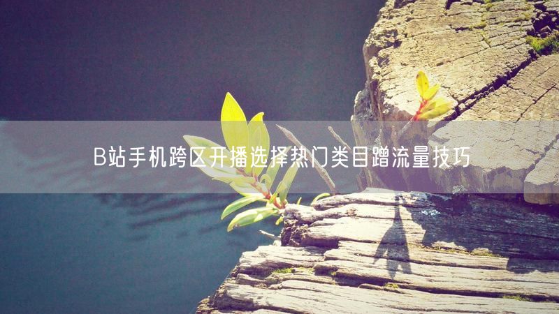 B站手机跨区开播选择热门类目蹭流量技巧