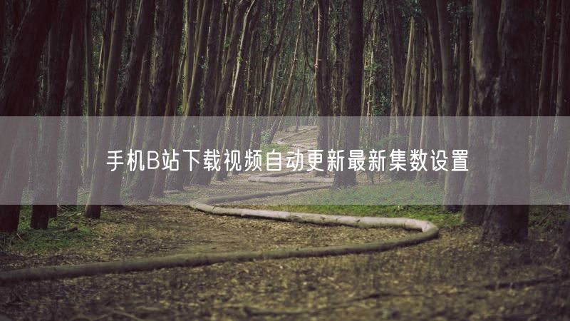 手机B站下载视频自动更新最新集数设置