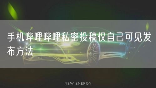 手机哔哩哔哩私密投稿仅自己可见发布方法