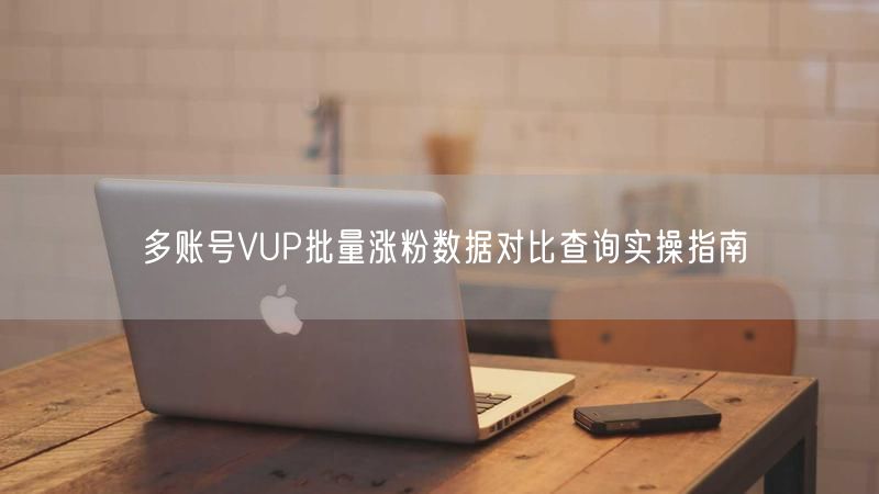 多账号VUP批量涨粉数据对比查询实操指南