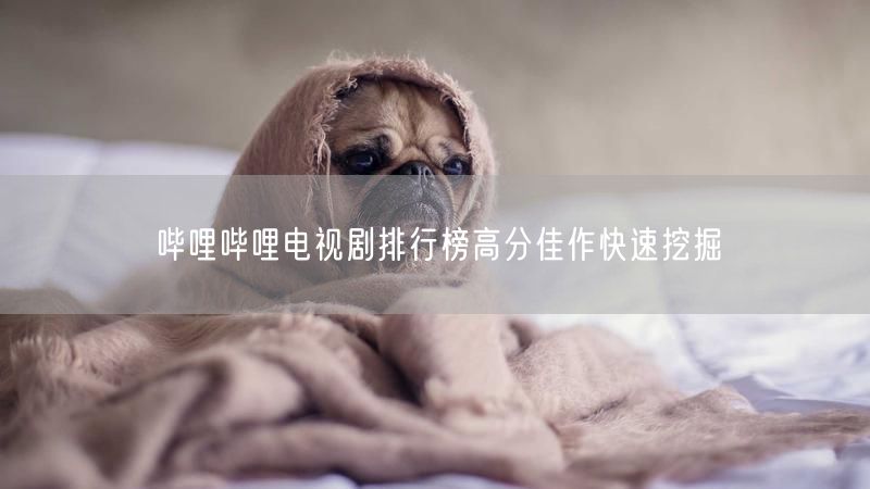 哔哩哔哩电视剧排行榜高分佳作快速挖掘