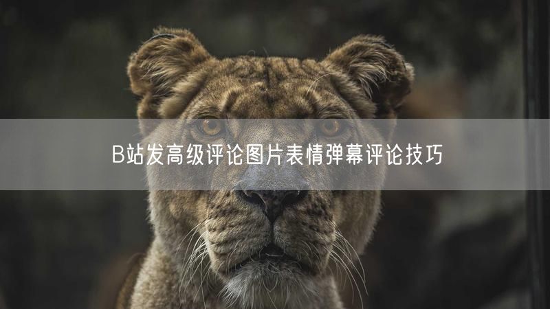 B站发高级评论图片表情弹幕评论技巧