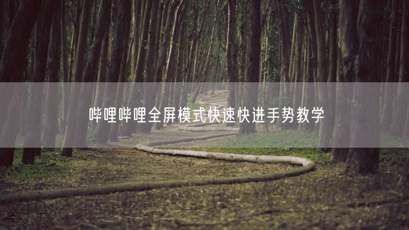哔哩哔哩全屏模式快速快进手势教学
