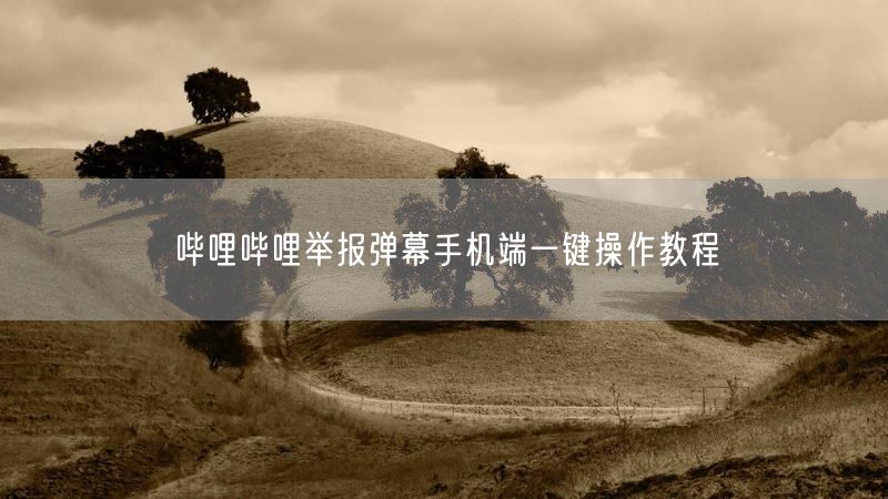 哔哩哔哩举报弹幕手机端一键操作教程