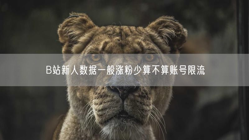 B站新人数据一般涨粉少算不算账号限流