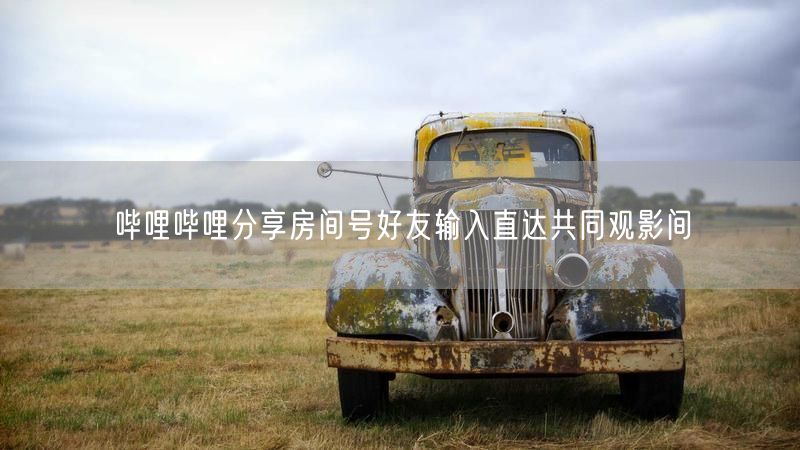 哔哩哔哩分享房间号好友输入直达共同观影间