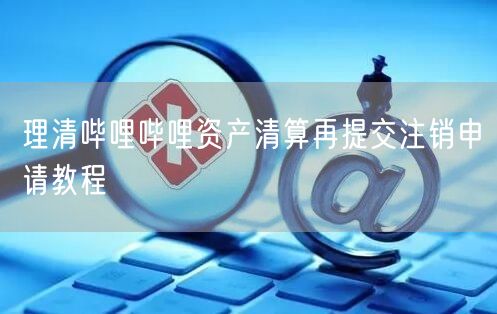 理清哔哩哔哩资产清算再提交注销申请教程
