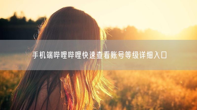 手机端哔哩哔哩快速查看账号等级详细入口