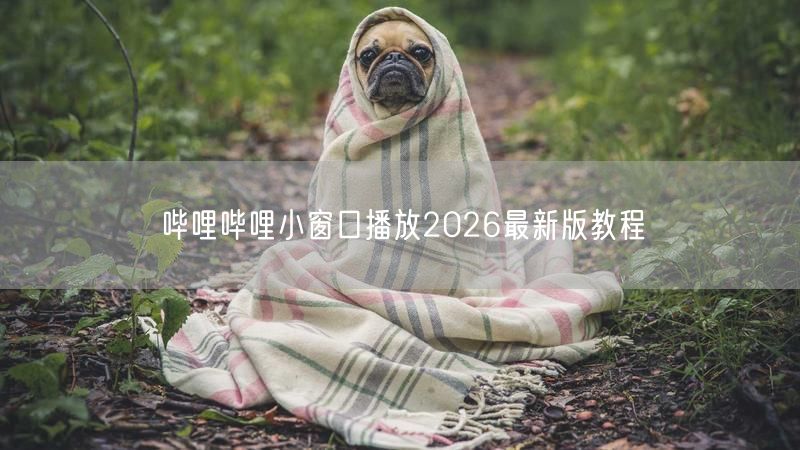 哔哩哔哩小窗口播放2026最新版教程
