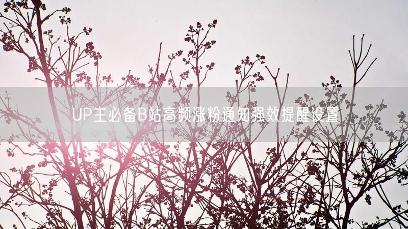 UP主必备B站高频涨粉通知强效提醒设置