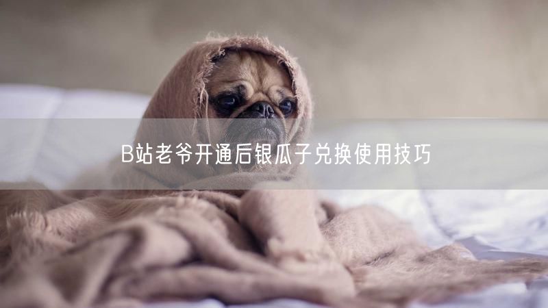 B站老爷开通后银瓜子兑换使用技巧