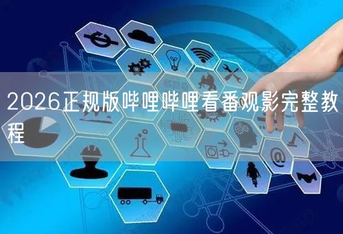2026正规版哔哩哔哩看番观影完整教程