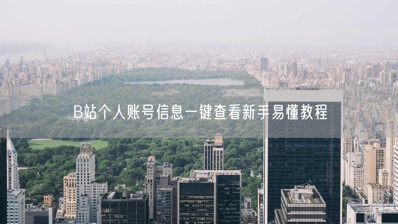 B站个人账号信息一键查看新手易懂教程