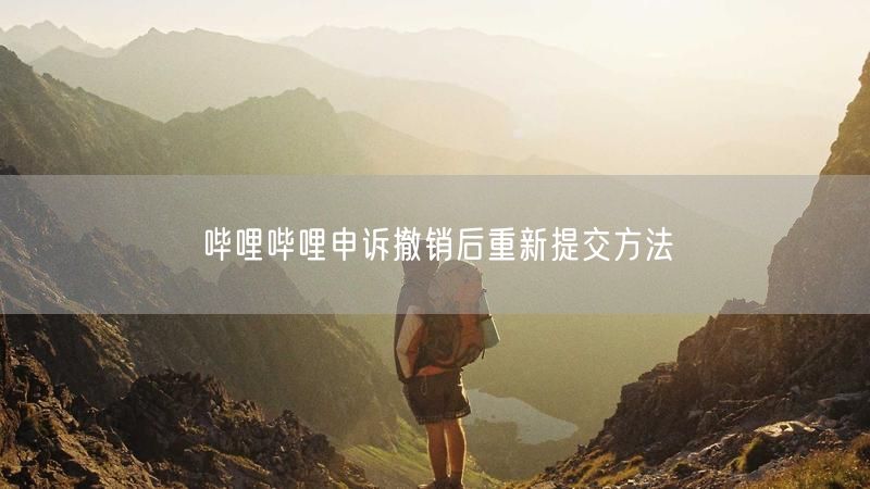 哔哩哔哩申诉撤销后重新提交方法