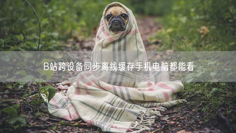 B站跨设备同步离线缓存手机电脑都能看