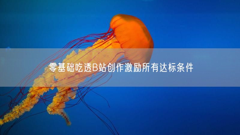零基础吃透B站创作激励所有达标条件