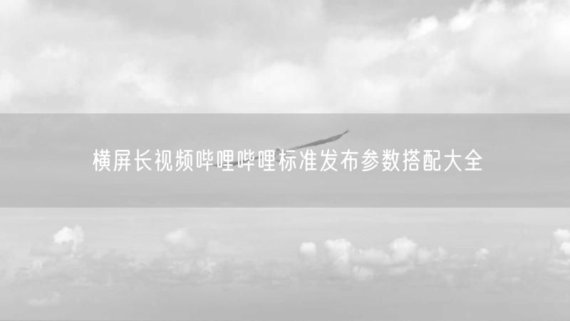 横屏长视频哔哩哔哩标准发布参数搭配大全