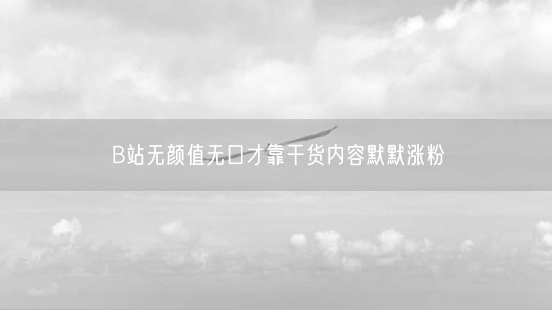 B站无颜值无口才靠干货内容默默涨粉