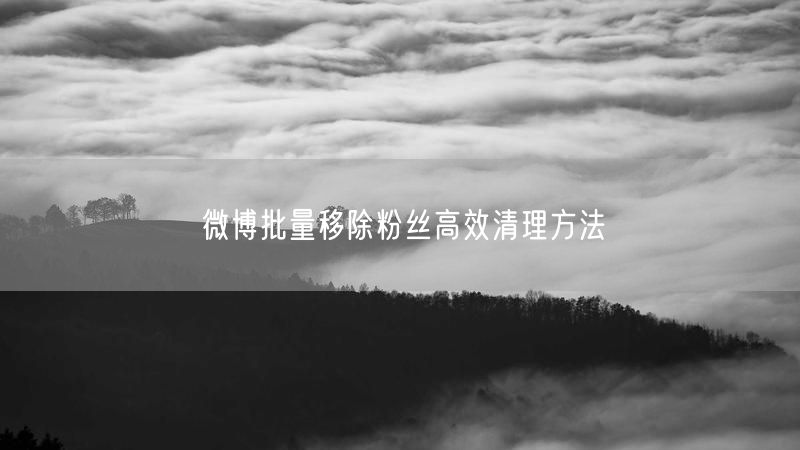 微博批量移除粉丝高效清理方法
