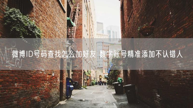 微博ID号码查找怎么加好友 数字账号精准添加不认错人