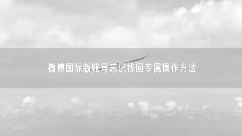 微博国际版账号忘记找回专属操作方法