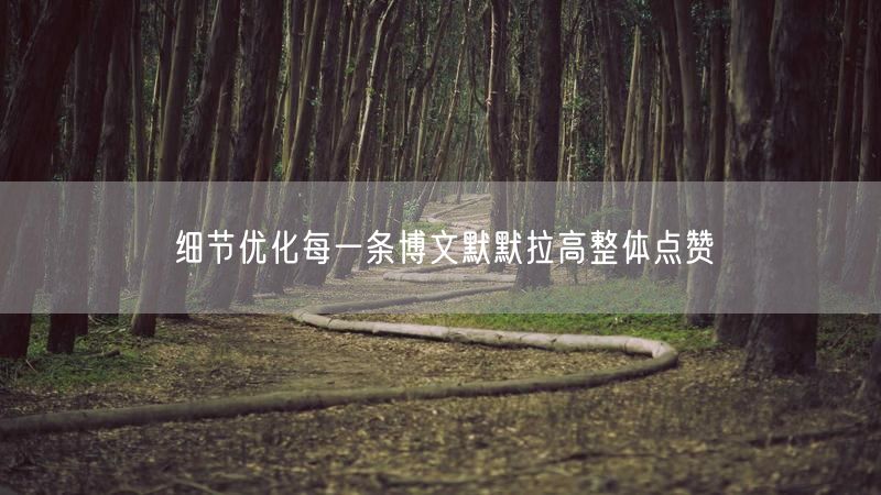 细节优化每一条博文默默拉高整体点赞