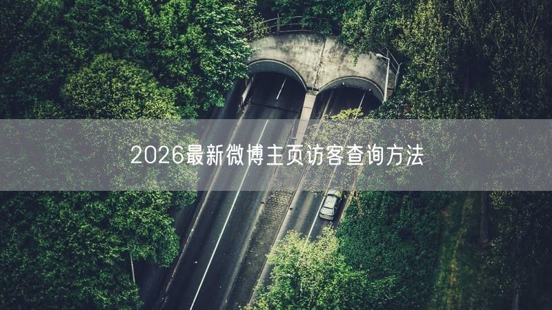 2026最新微博主页访客查询方法