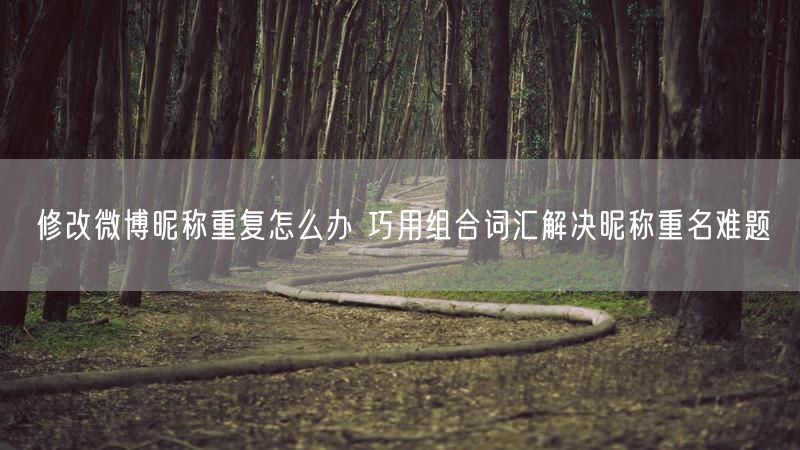 修改微博昵称重复怎么办 巧用组合词汇解决昵称重名难题